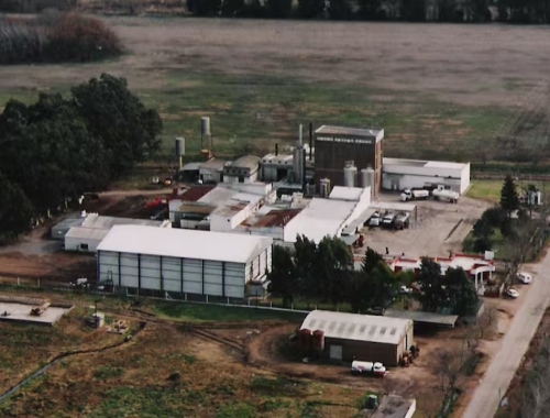 Tenía 140 empleados decretaron la quiebra de la controlante de la láctea La Suipachense