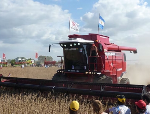 Duro presente e incierto futuro de una empresa argentina que fabrica cosechadoras