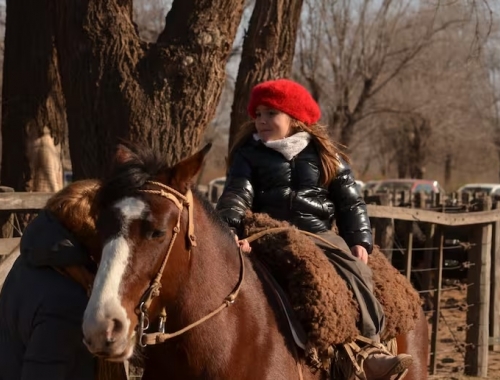 Vine a comprar la niña que sorprende por su habilidad para elegir vacas en los remates y ya piensa en tener su propio campo
