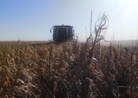 Proyección la hoja de ruta para llegar a otra cosecha récord