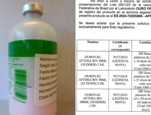 Fiebre aftosa: se conocieron detalles reveladores sobre cómo el Senasa frenó una vacuna de Brasil