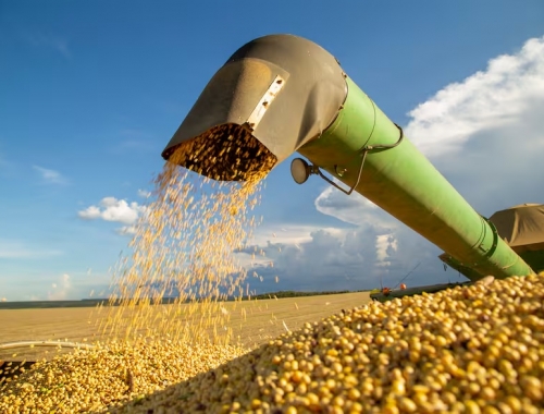 Dólares febrero podría terminar con una importante merma en la liquidación de divisas