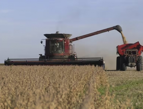 Sacudió el mercado la Argentina hizo una inédita venta de trigo a Estados Unidos