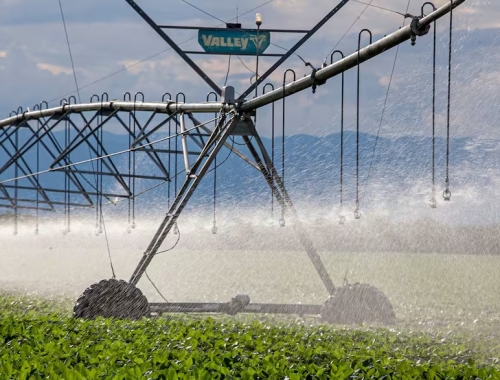 Salió con la reforma laboral qué cambia con el RIMI, la ambiciosa apuesta del Gobierno para las medianas inversiones