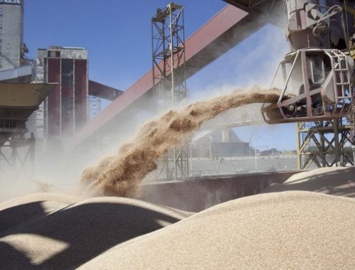 Uno de cada cuatro dólares que exporta la Argentina sale de la soja Según INDEC, el agro volvió a dominar el mapa exportador