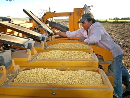 Ley de semillas: qué dice una propuesta que la Mesa de Enlace podría presentarle al Gobierno por el pago del uso propio