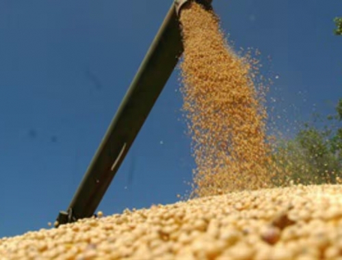 La guerra en Medio Oriente sacude al agro volatilidad en la soja y disparada de más de US$200 en la urea