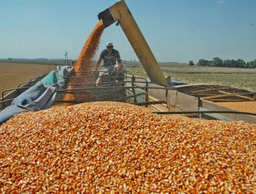 Acelera el agro los analistas esperan que marzo cierre con un ingreso de divisas por US$2000 millones