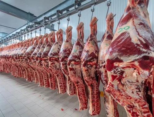 Contacto urgente por scrapie la industria de la carne vacuna reveló qué va a pasar con un codiciado negocio de exportación