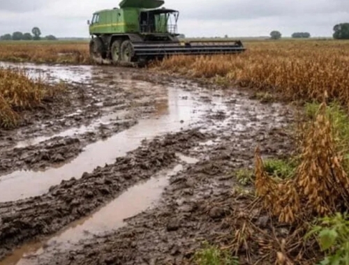Las lluvias paralizan el campo en Santa Fe: cosechas frenadas y lotes anegados