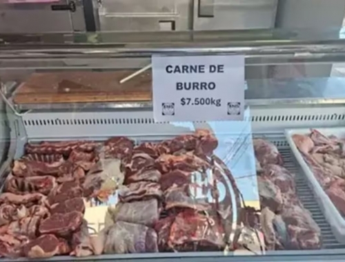 Operación internacional el Gobierno fustigó a un medio alemán que habló del consumo de carne de burro
