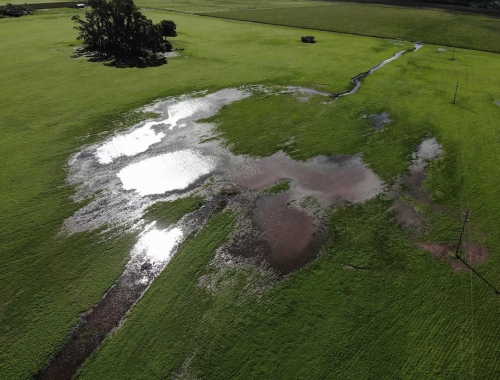 La confianza del campo cayó un 16% y se frena la inversión