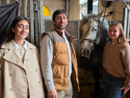 Percherón: el gigante manso que sorprende en Palermo 2026