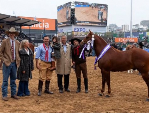 Un caballo correntino hizo historia con un Reservado Gran Campeón en Palermo