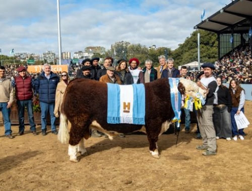 Hereford coronó una semana de excelencia genética y ventas récord en Palermo