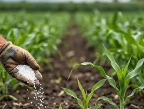 Fertilizantes: por qué Argentina tiene una ventaja competitiva frente a Brasil y Estados Unidos