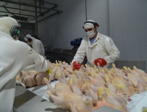 La Unión Europea reabre su mercado a la carne aviar argentina tras recuperar el estatus sanitario