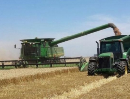 El BID revela que la productividad del agro argentino perdió fuerza desde los 2000