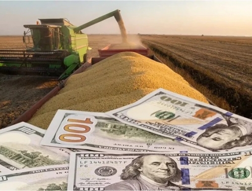 La liquidación de dólares del agro cayó 16% entre enero y julio de 2026