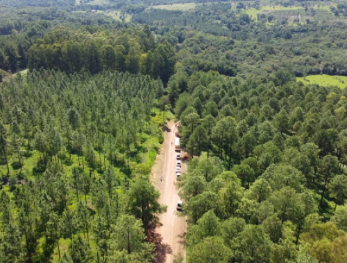 Caminos rurales: cómo prevenir daños ante las lluvias de El Niño