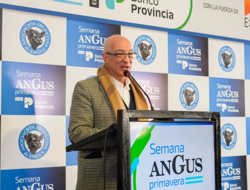 Carne Angus Argentina: genética y negocios en Cañuelas