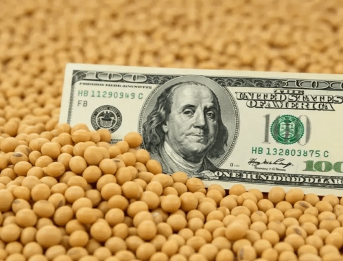 El agro podría liquidar US$ 40.000 millones en 2027