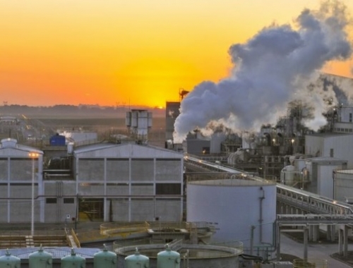 Soja: el FOB compuesto de la industria alcanzó su máximo desde 2022