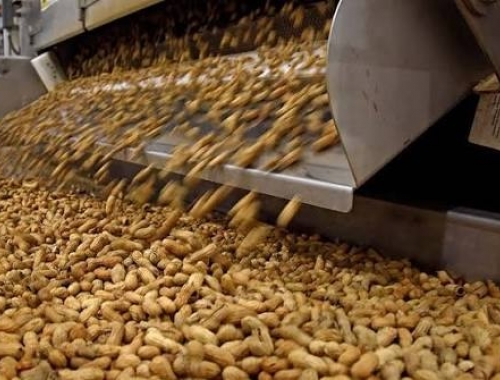 Brasil amplía su ventaja sobre Argentina en molienda de oleaginosas
