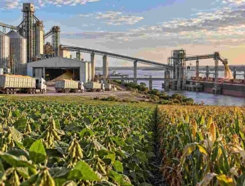 Argentina puede ganar terreno en las exportaciones agroindustriales hacia 2035