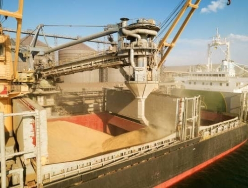Récord: el campo argentino ya vendió 105 millones de toneladas de granos