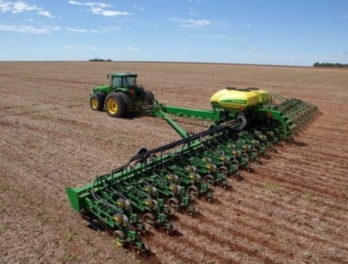 Girasol: la siembra alcanza el 50,3% del área prevista